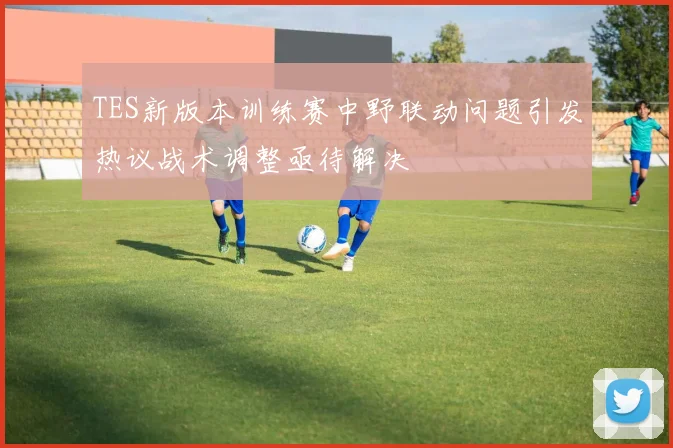 TES新版本训练赛中野联动问题引发热议战术调整亟待解决